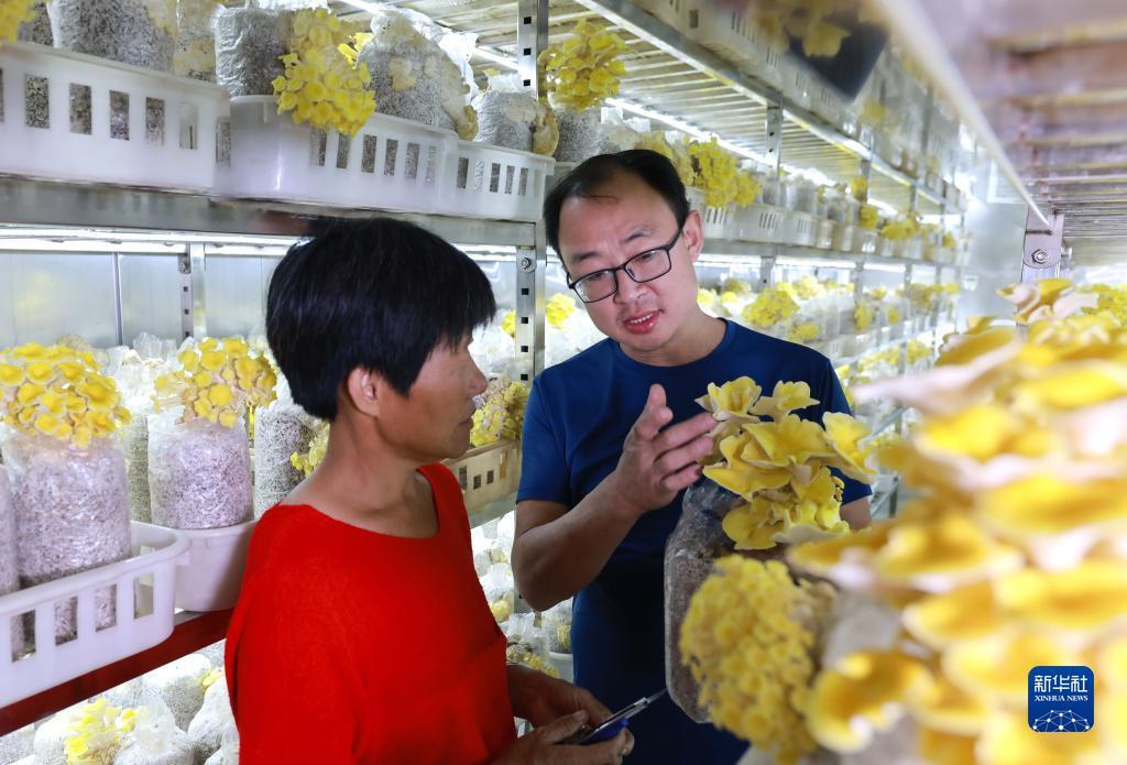 大发快彩票平台